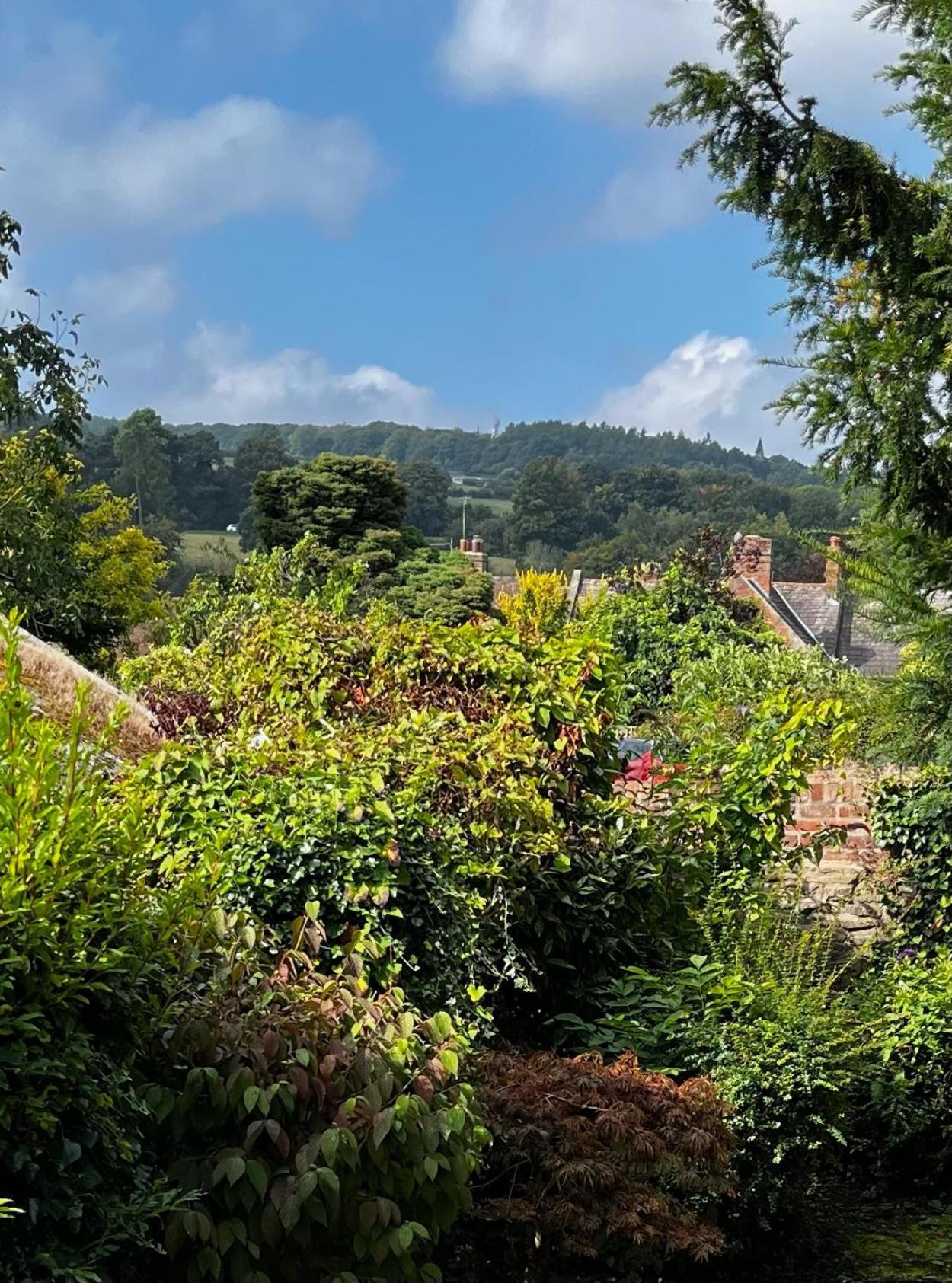 Flower Cottage By Ludlow Castle With Onsite Parking Buitenkant foto